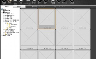 dpp软件，佳能dpp软件
